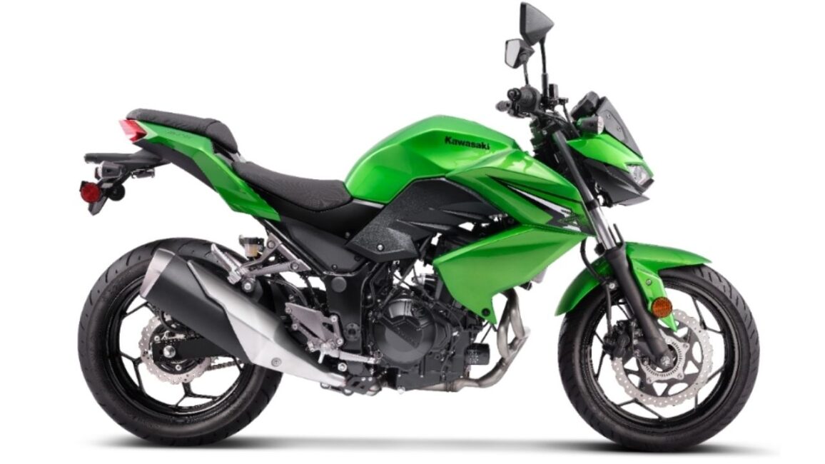 Kawasaki Z300 side look